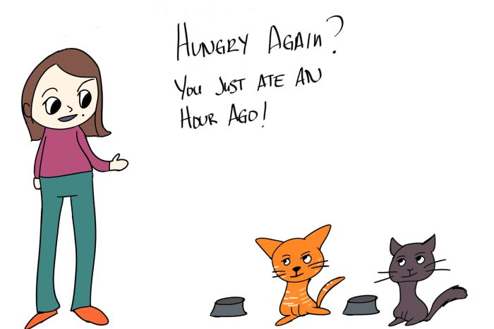 Magenta is with her two cats who are beside their food bowls when she says, "Hungry again? You just ate an hour ago!"